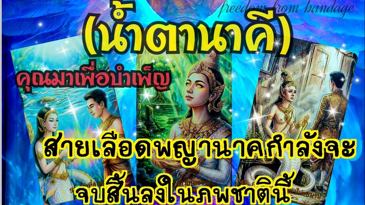 🐉#random 546(น้ำตานาคี)สายเลือดพญานาคกำลังจะจบสิ้นลงในภพชาตินี้