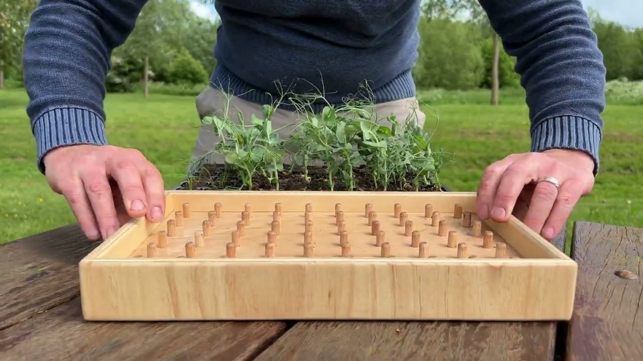 Dib Popper - Containerwise - Seeding / Ejector board