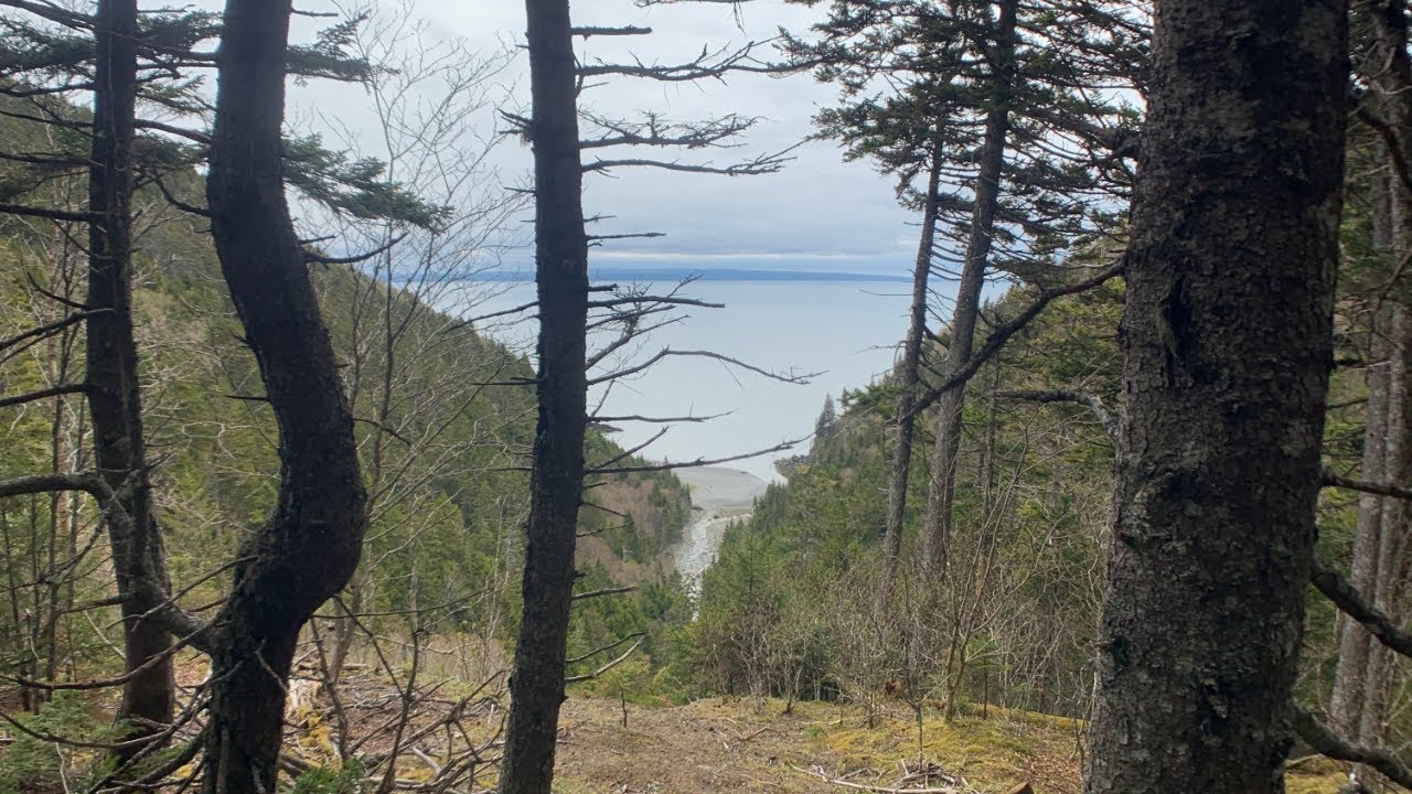 National Parks Rarely Build New Trails, But Fundy Just Did