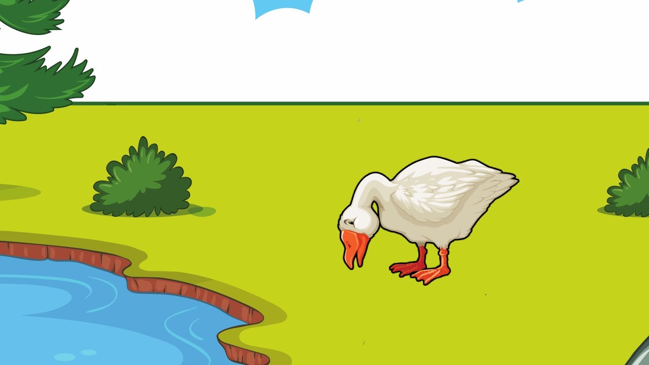 Krivá hus (rozprávka na počúvanie)