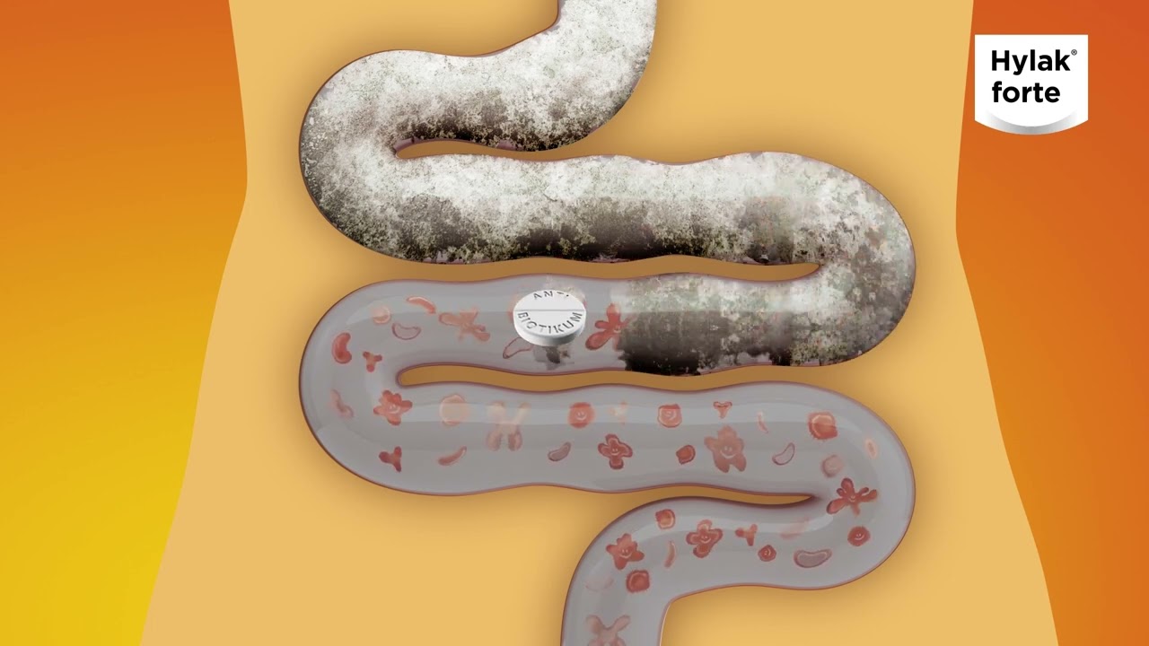 Hylak forte - Počas liečby antibiotikami a po nej.