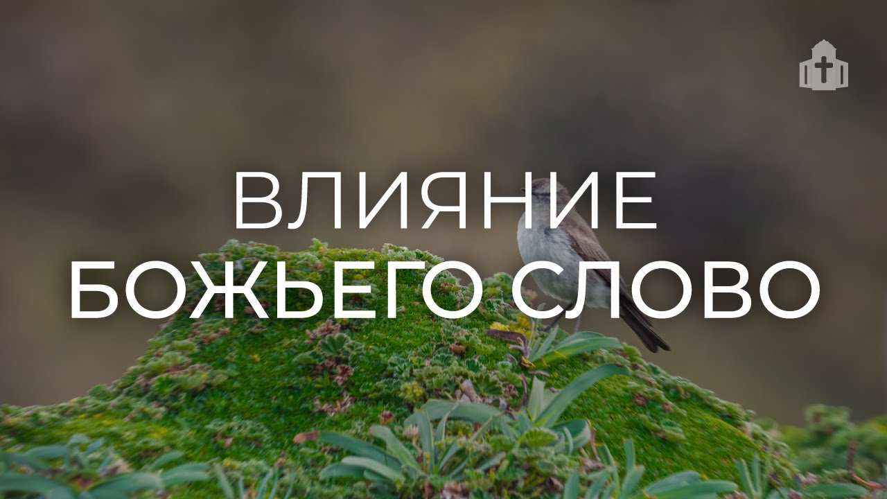 «Влияние Божьего Слова» | Владимир Кравченков