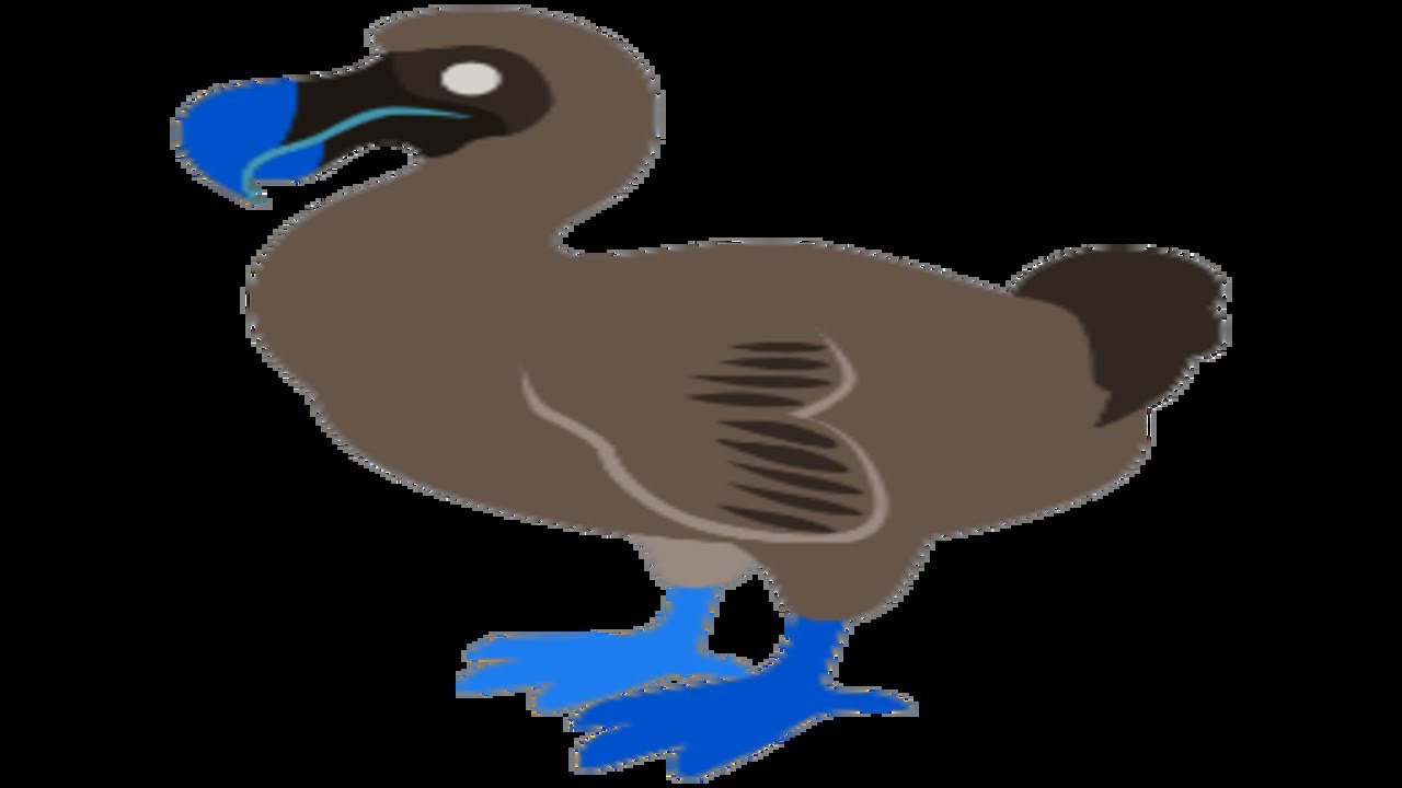 ДОДОС
