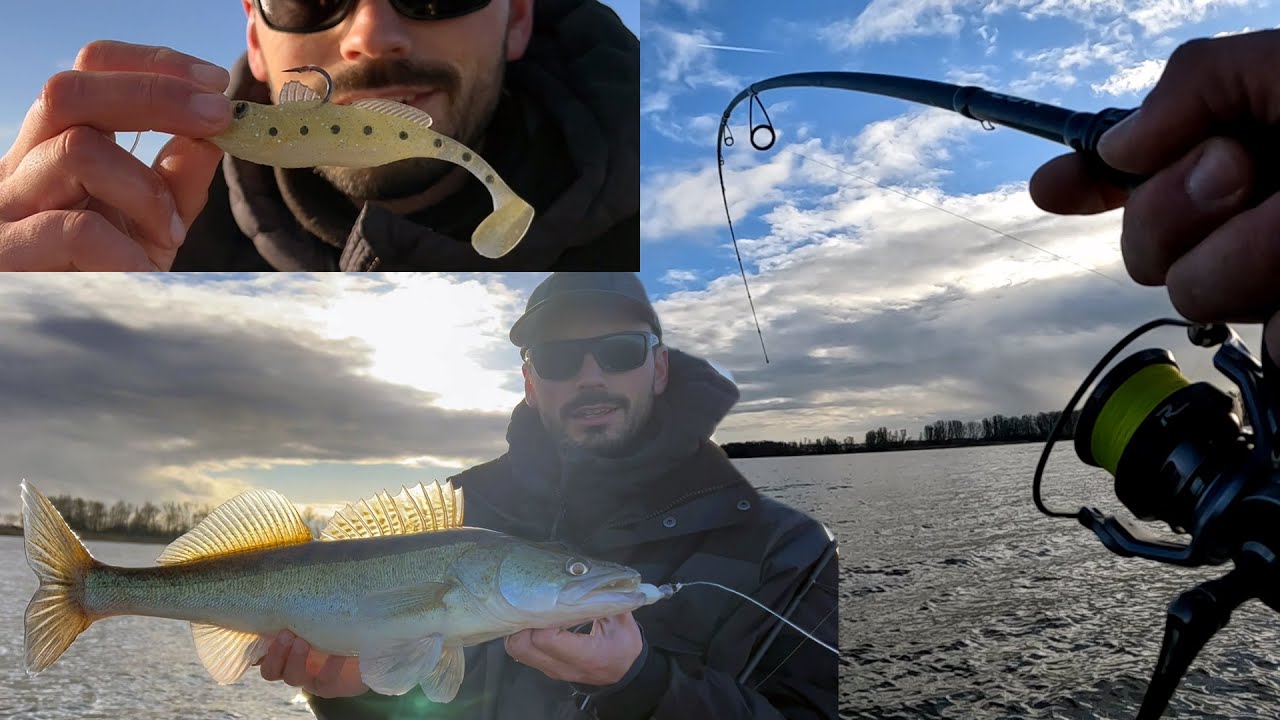 Snoekbaarzen vangen met Shads! - Vissen op Snoekbaars