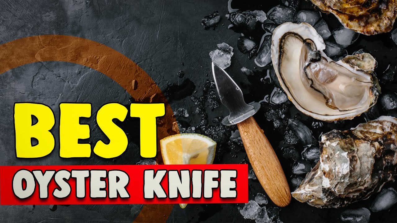 Best Oyster Knife in 2021 – Shuck the Right Way!