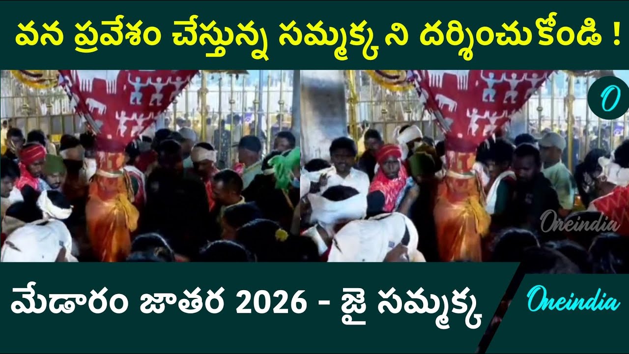 వన ప్రవేశం చేస్తున్న తల్లి సమ్మక్క ని దర్శించుకోండి | Sammakka Vana Pravesham 2026 |Oneindia Telugu