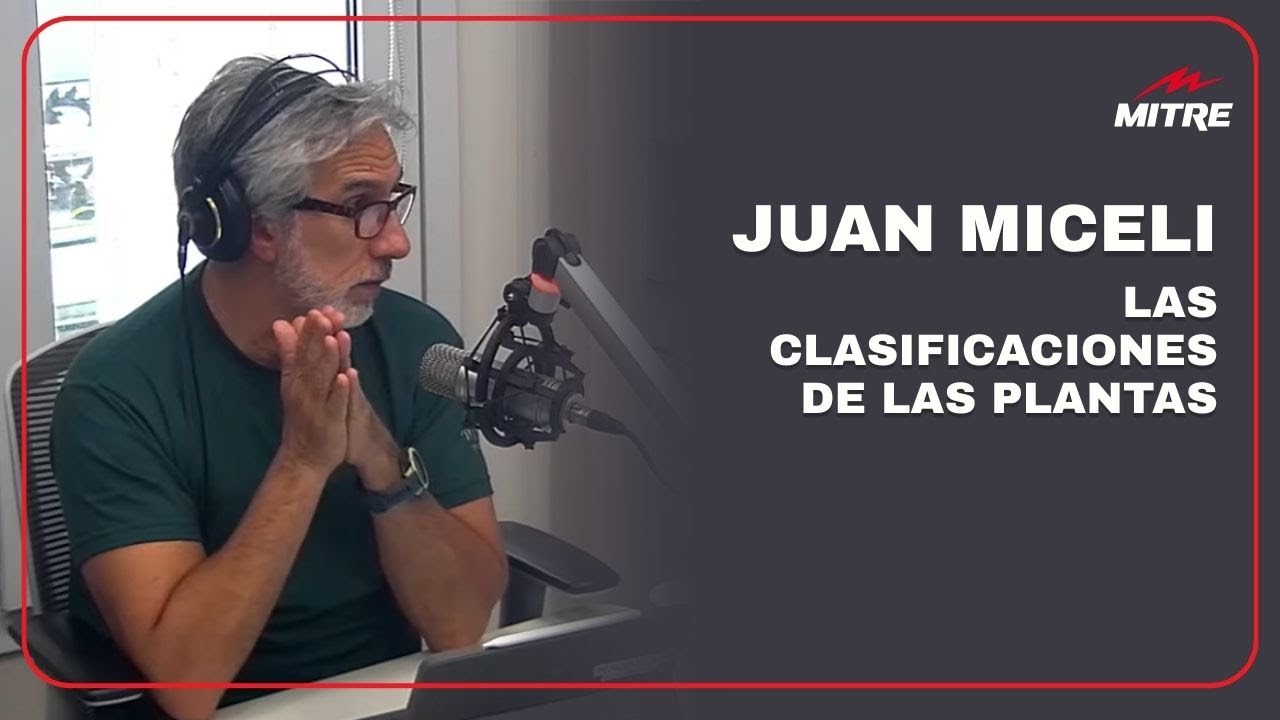 Las clasificaciones de las plantas: la columna de Juan Miceli
