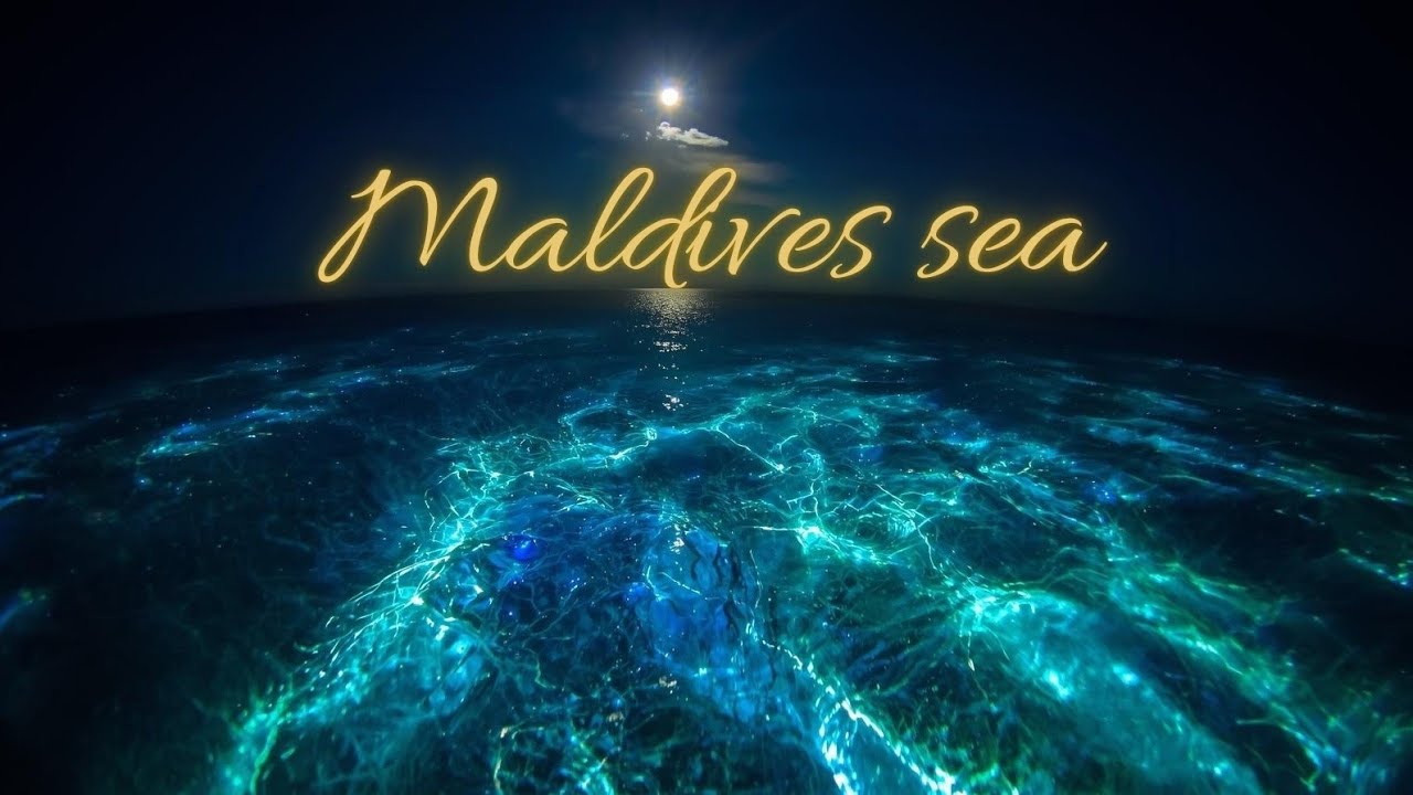 Maldivas Sea Lo_Fi music 