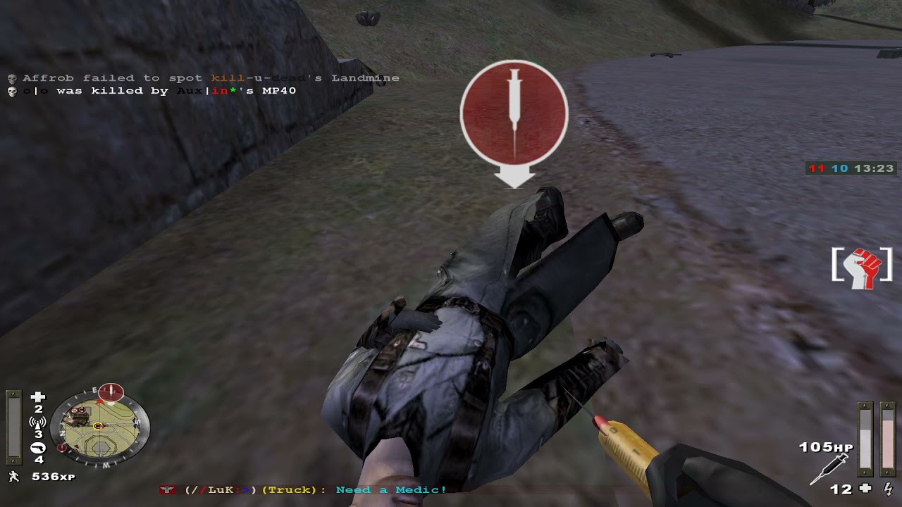 Wolfenstein: Enemy Territory Hirntot ETpro server 2021 cat