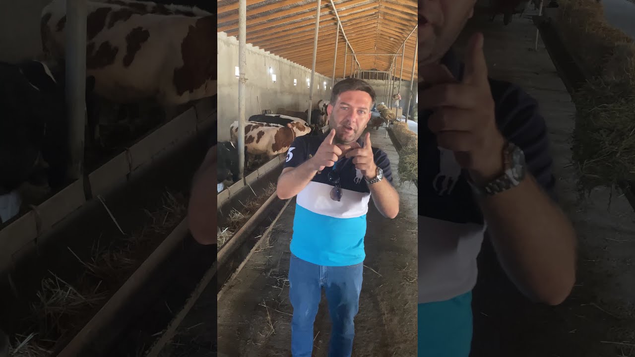 Ödənişli Teqdimat ( Ferma 550 000azn) Satılır Elaqe:📞0552008382 Tural