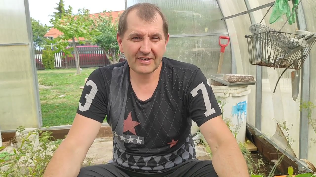 Плодоношение инжира в горшке. Отправка растений.