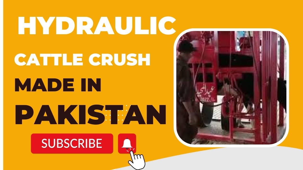 Hydraulic cattle crush made in Pakistan | Working | Hoof trimming @khawaja53
