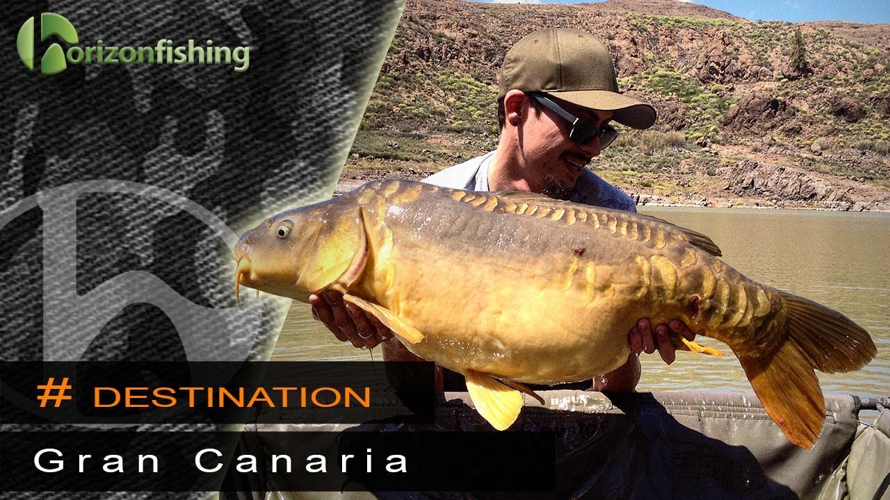 Gran Canaria : Carp fishing