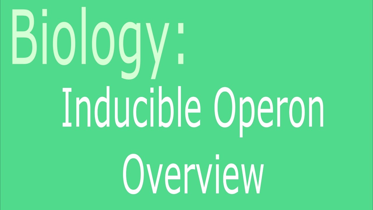 Inducible Operon Overview