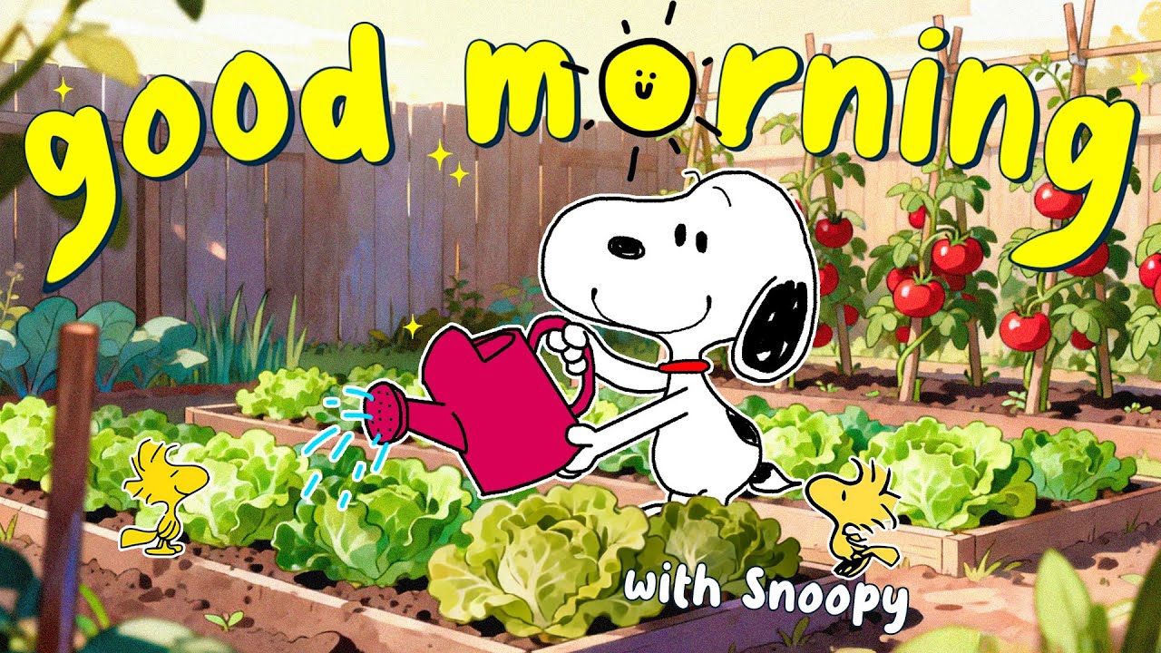 [relaxing playlist] 안녕하세요 여러분, 피아노 선율 ☀️ 부드러운 선율과 긍정적인 에너지 | Snoopy Light Rhythm
