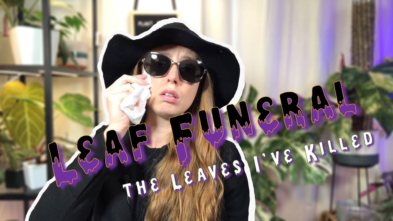 Leaf Funeral | I Killed My Favorite Leaf?!