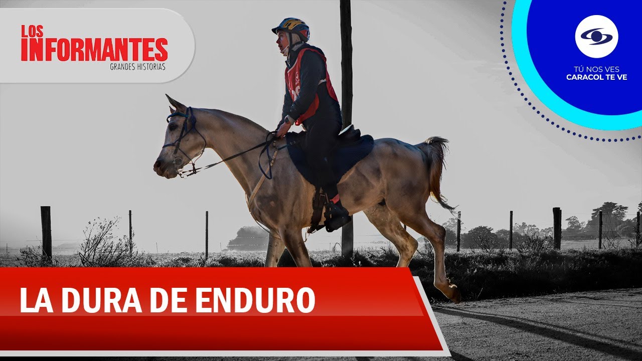 María Carreño y su caballo: un binomio para los Panamericanos de enduro ecuestre - Los Informantes