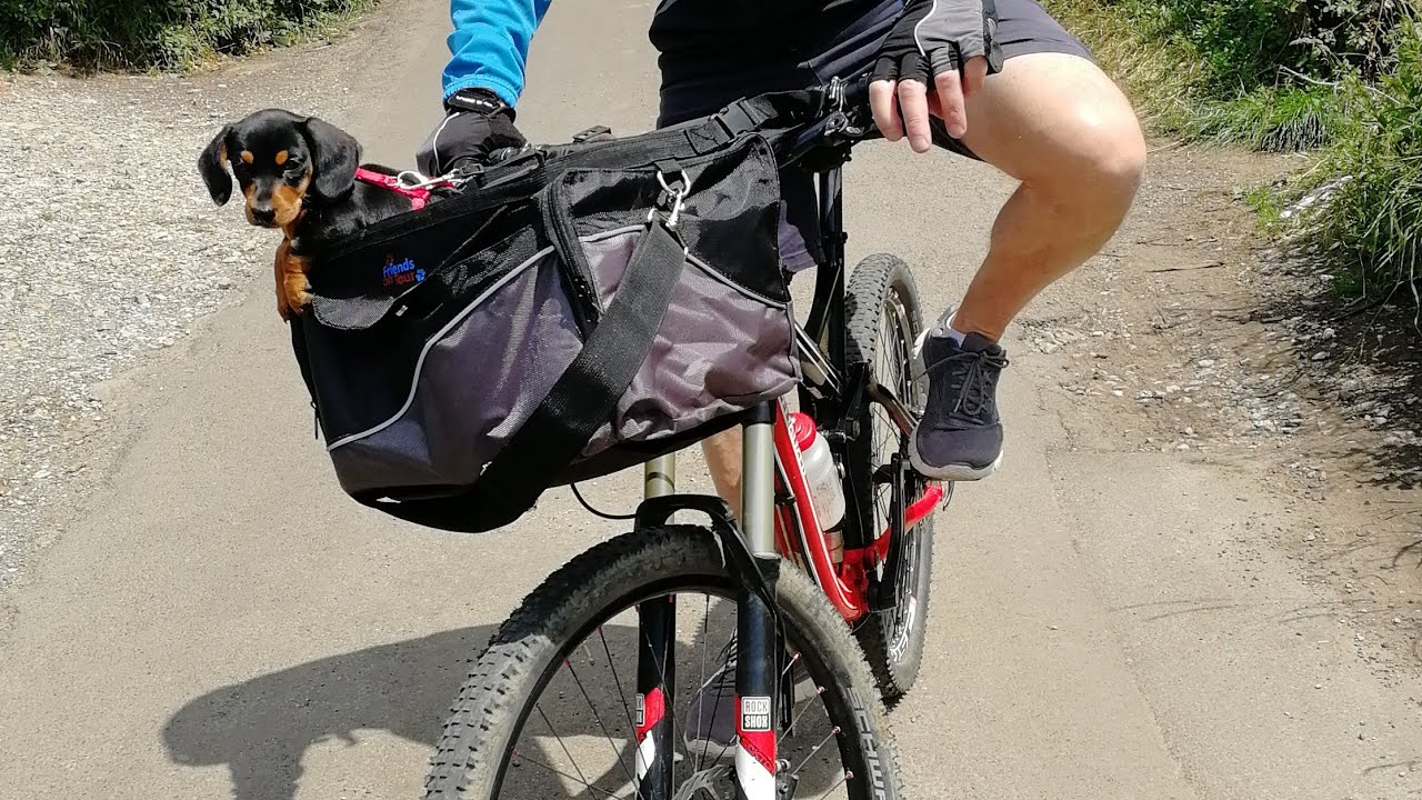 Dog carrier for bike trixie upto 7kg