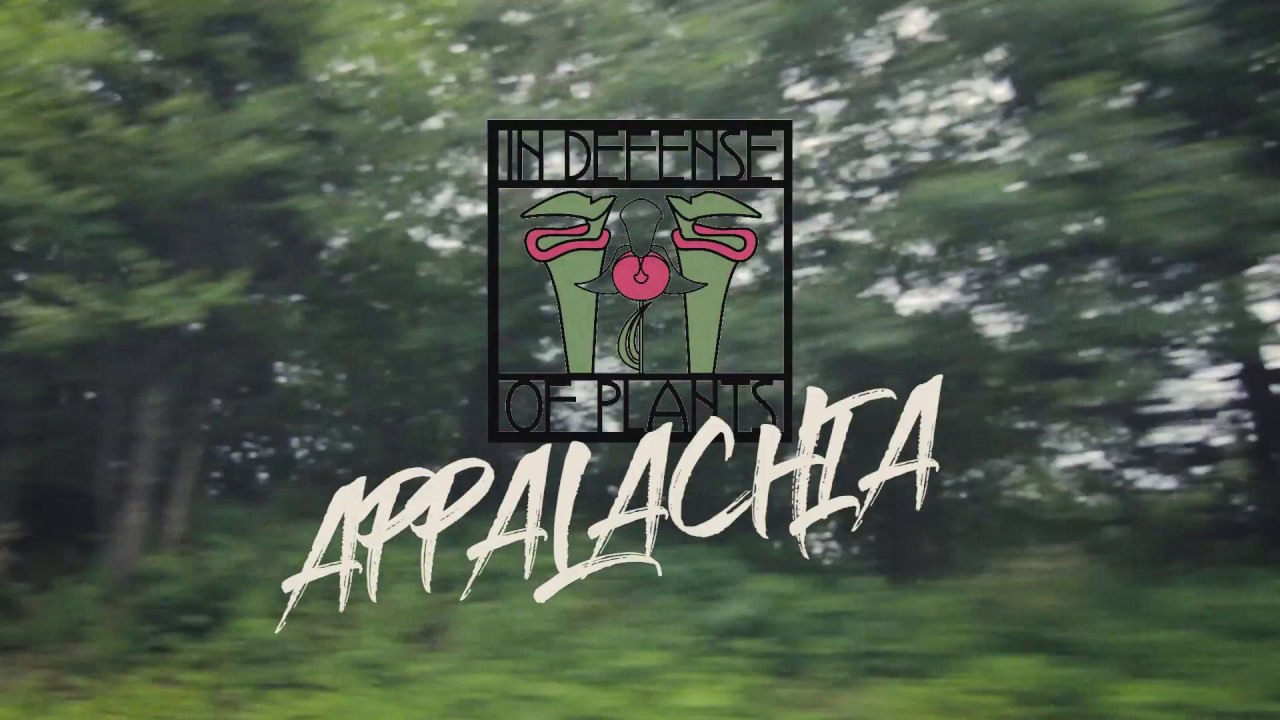 Appalachia