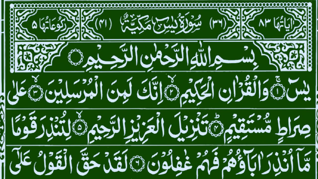 Live 🔴 heart touching voice of Quran surah Yasin (سورۃ یٰس) 