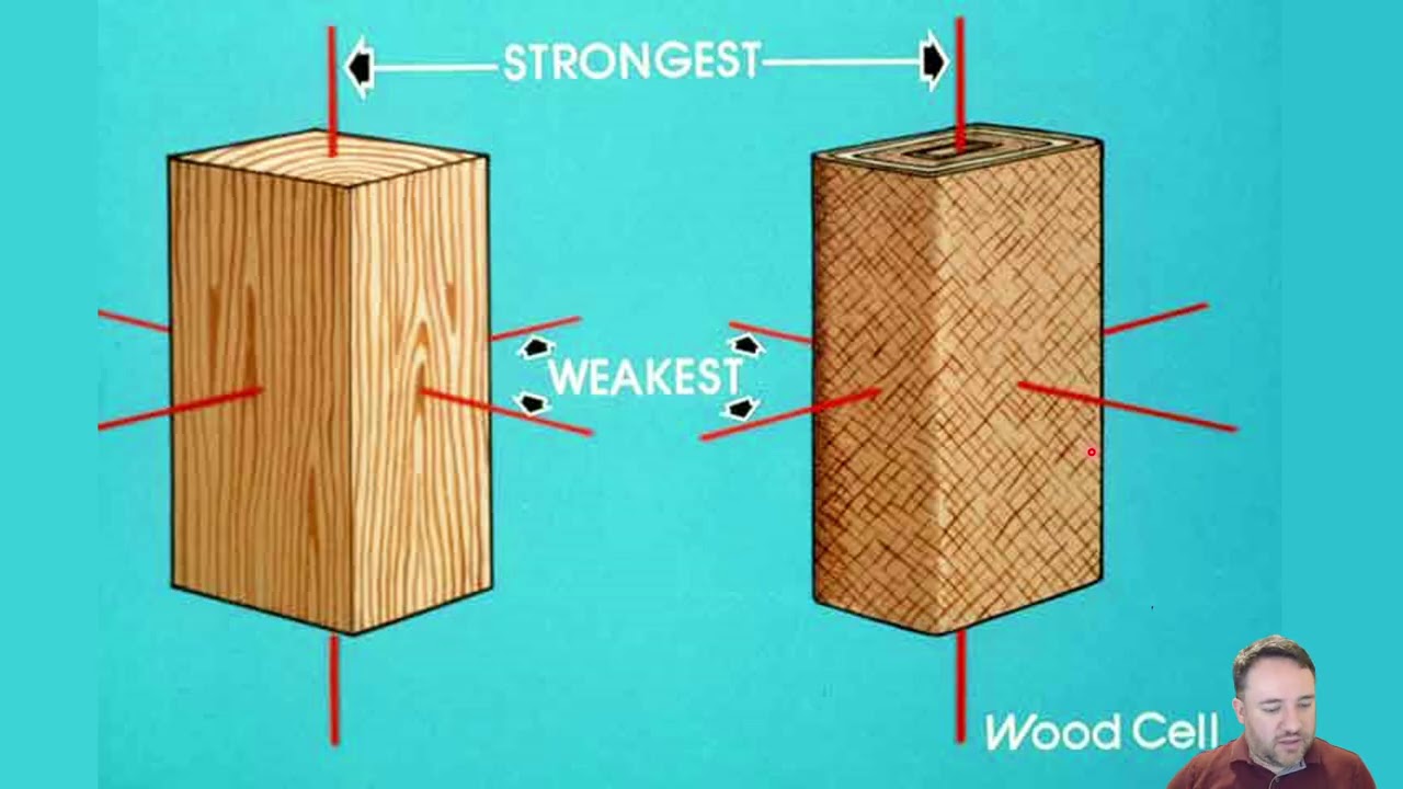 Mechanics of Wood and Design Modification Factors