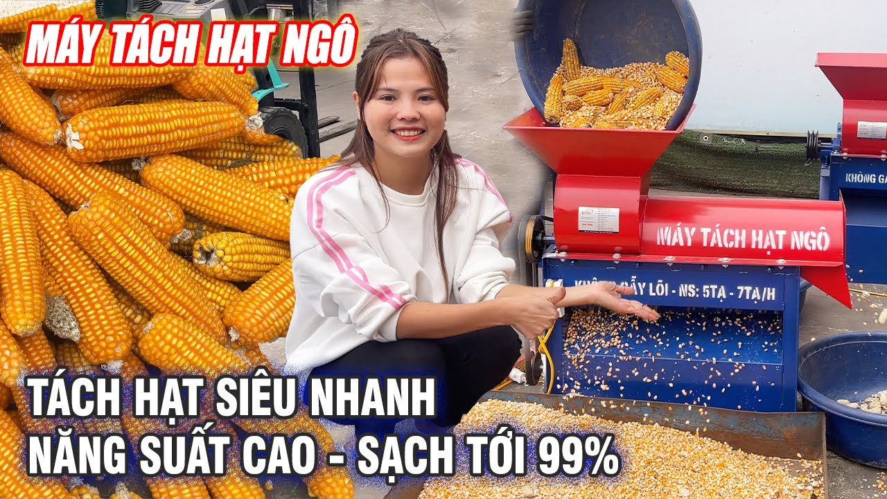 Máy Tách Hạt Ngô Bình Quân - Tách Siêu Nhanh - Sạch Tới 99%