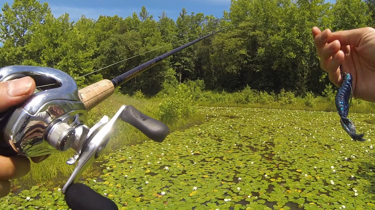 Боксерские площадки — Summer Pond Bassin в Боуи, Мэриленд