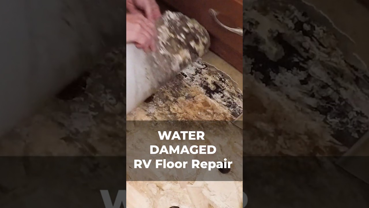 How To Repair Water Damage RV Floor | DIY #rvrepair #rvrenovation #rvtips