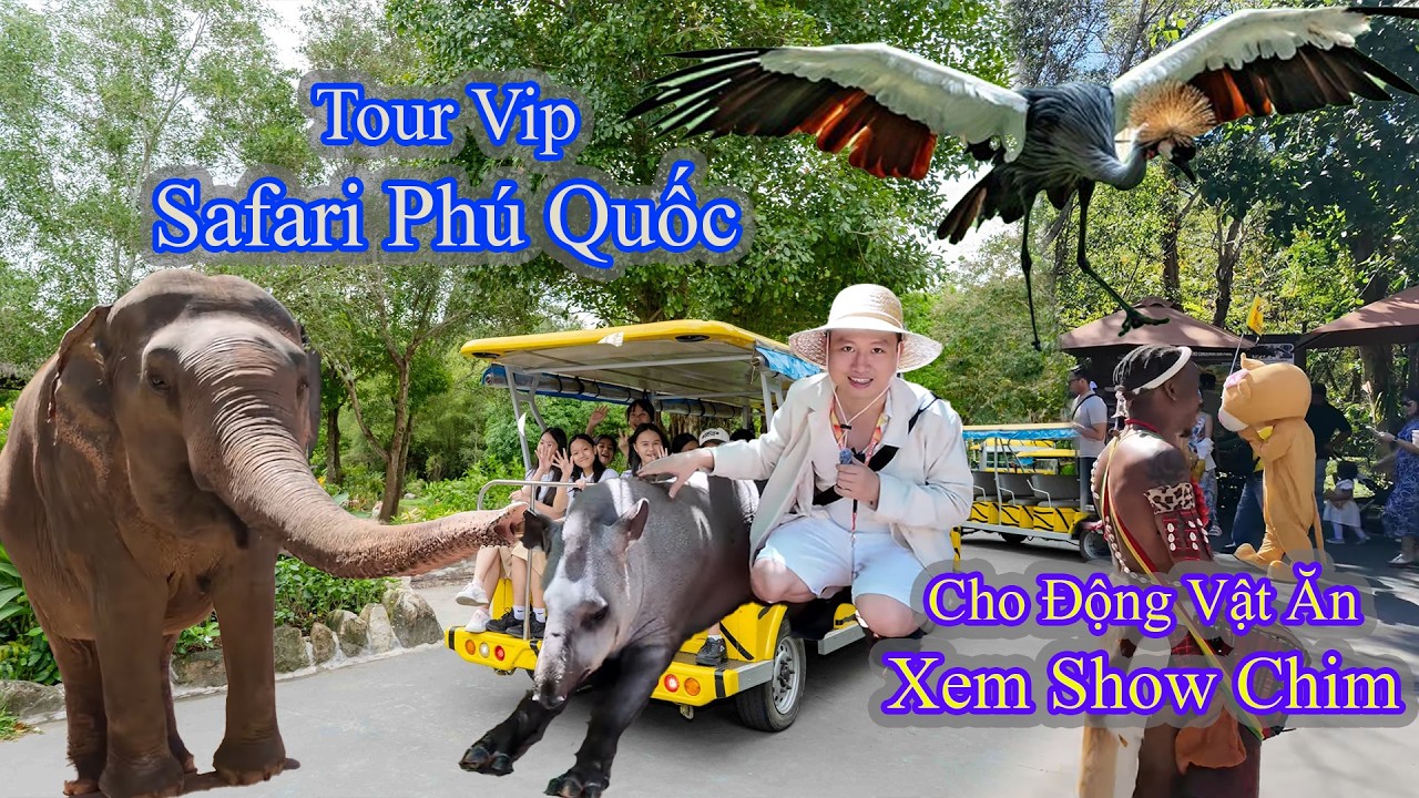 Trải nghiệm Vinpearl Safari Phú Quốc phiên bản “luxury” với VIP, Premium, Private Tour