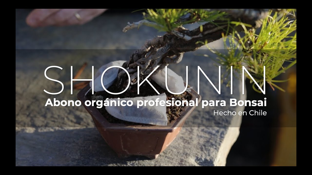Abono orgánico para Bonsai 'Shokunin'