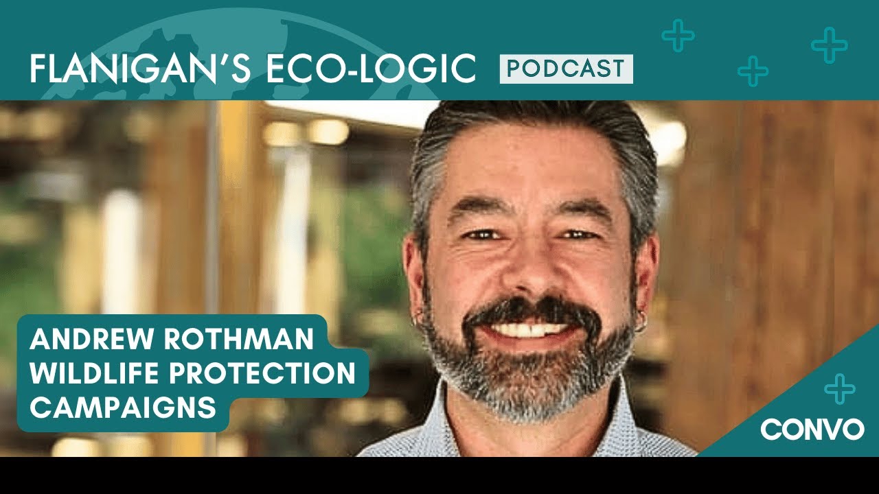 Andrew Rothman -- Wildlife Protection Campaigns