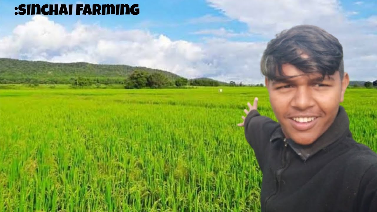 Sinchai farming fast blog #funny #blogger #farming #sinchangaming #blogger #funny
