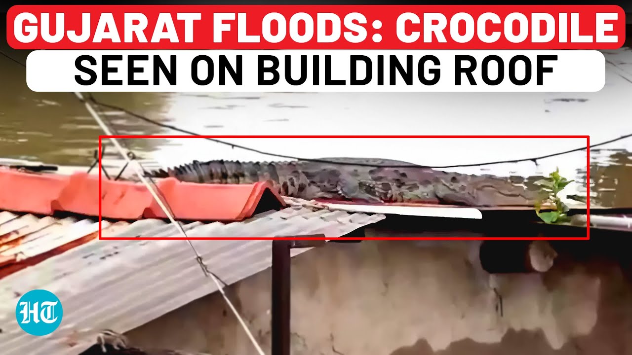 Gujarat Floods: Rescue Ops Underway; Rain Red Alert In 12 Districts; PM Modi Speaks To CM