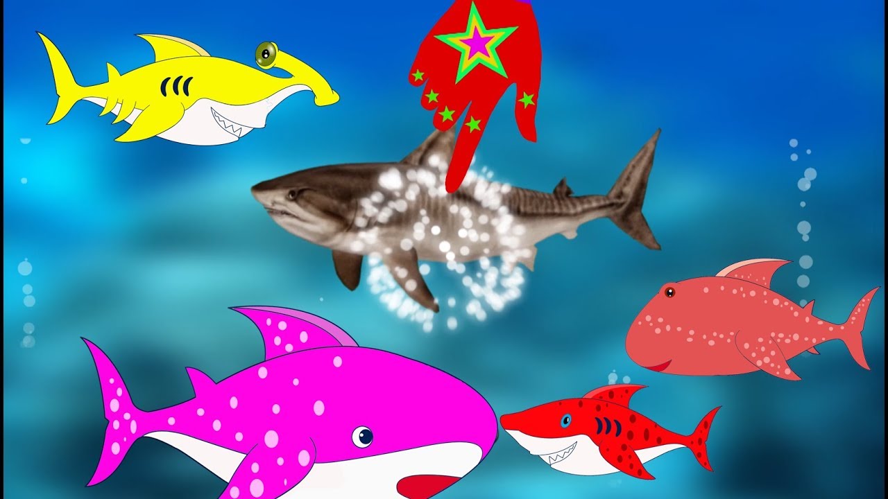 Magic Hand Makes 10 Sharks So Cute | Ten Baby Shark | Learn Shark Names