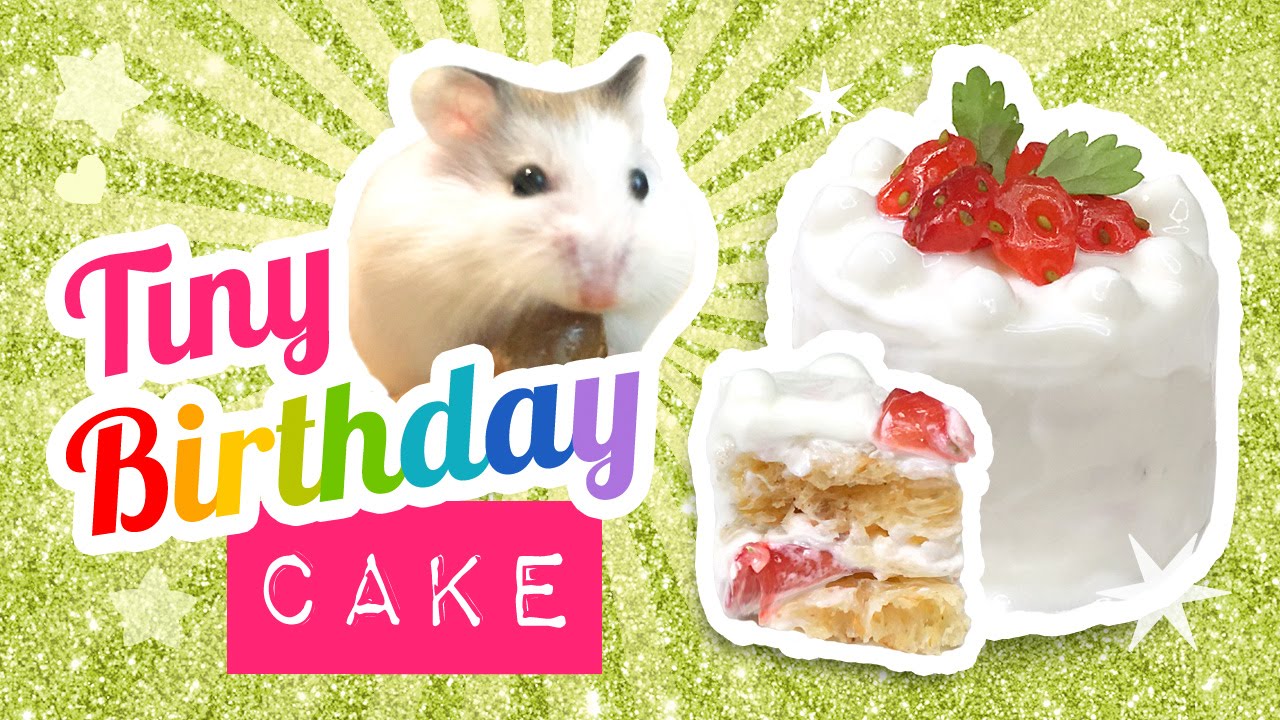 DIY Edible Miniature Cake for Hamsters or Humans! Make A Mini Birthday Cake &hearts;