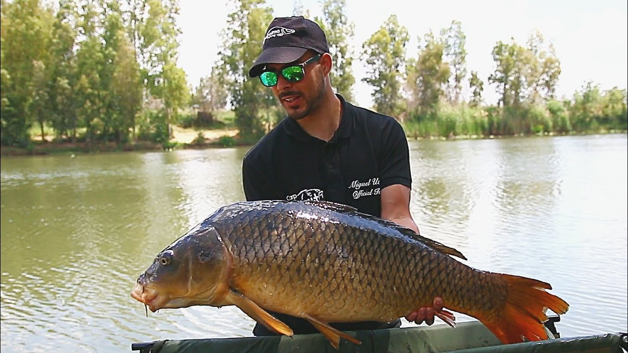 CARPFISHING EN EL GUADIANA | HD