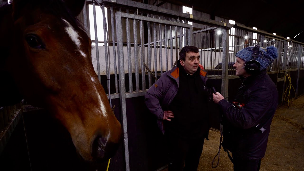 Horsin' Around - Paddy Glasgow visits Noel C Kelly Racing