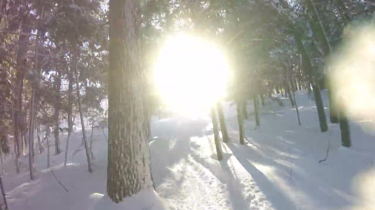 AMSR snowmobile ride through the woods.