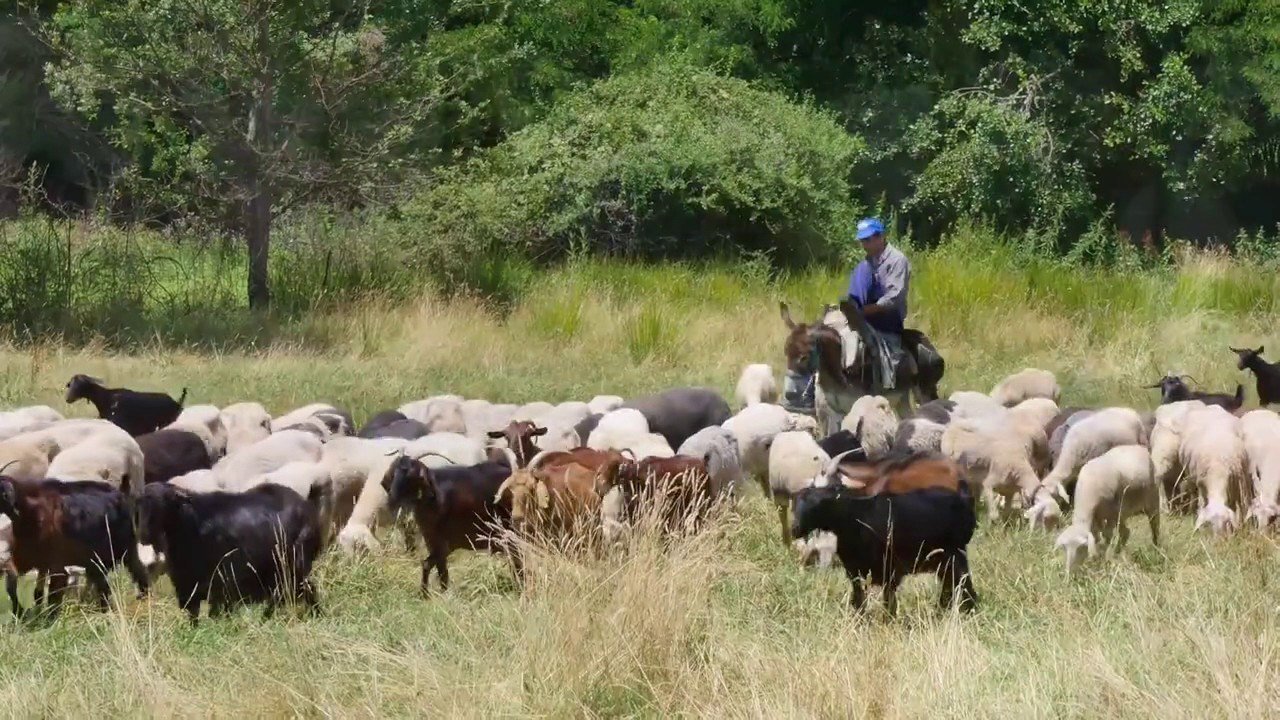 Skopia Florina Greece 2017
