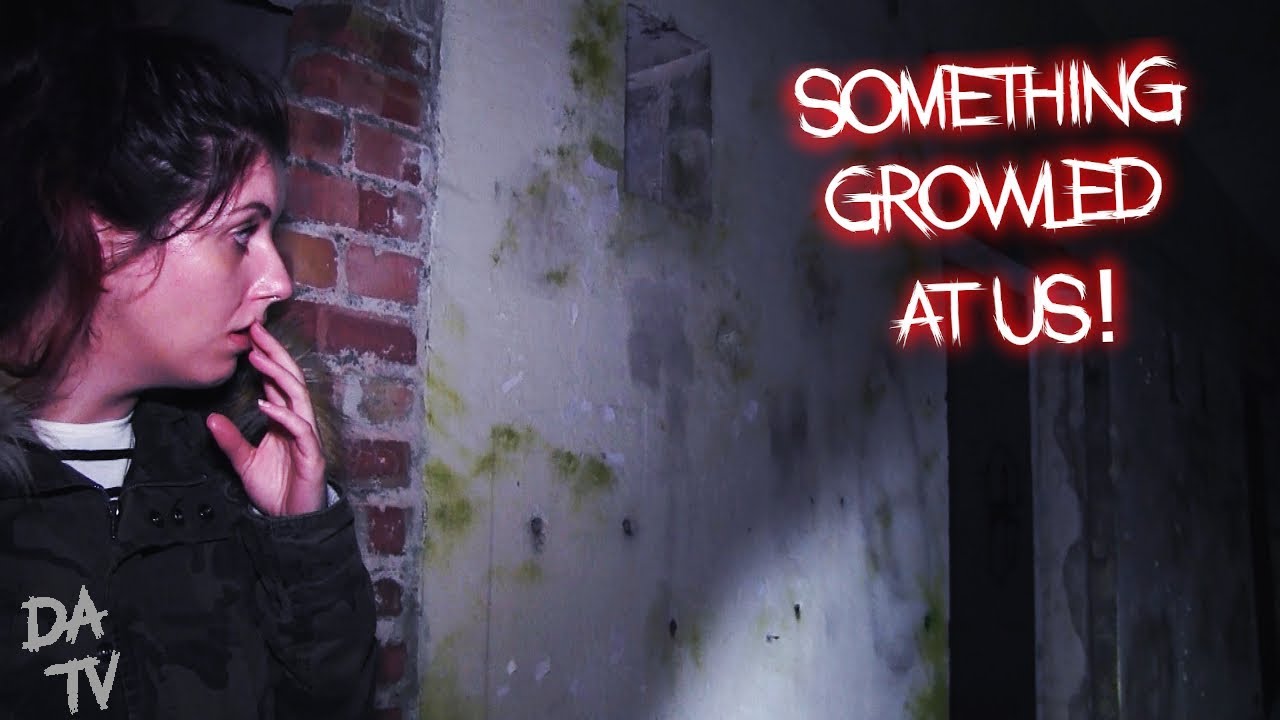 SOMETHING GROWLED at us! | Investigating Terrifying Pembrey Wood