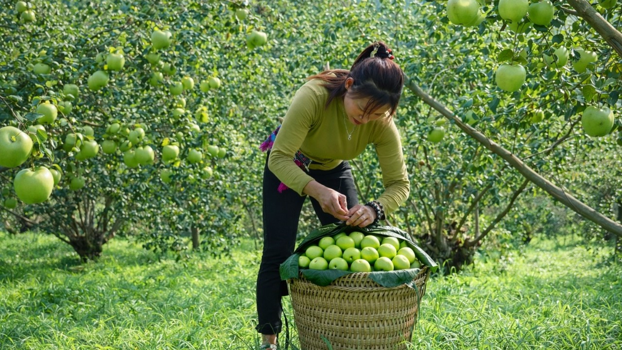 Simple Countryside Living: Apple Picking, Outhouse Door Repair & Homemade Lunch