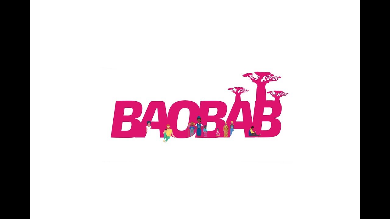 Baobab Group présentation FR