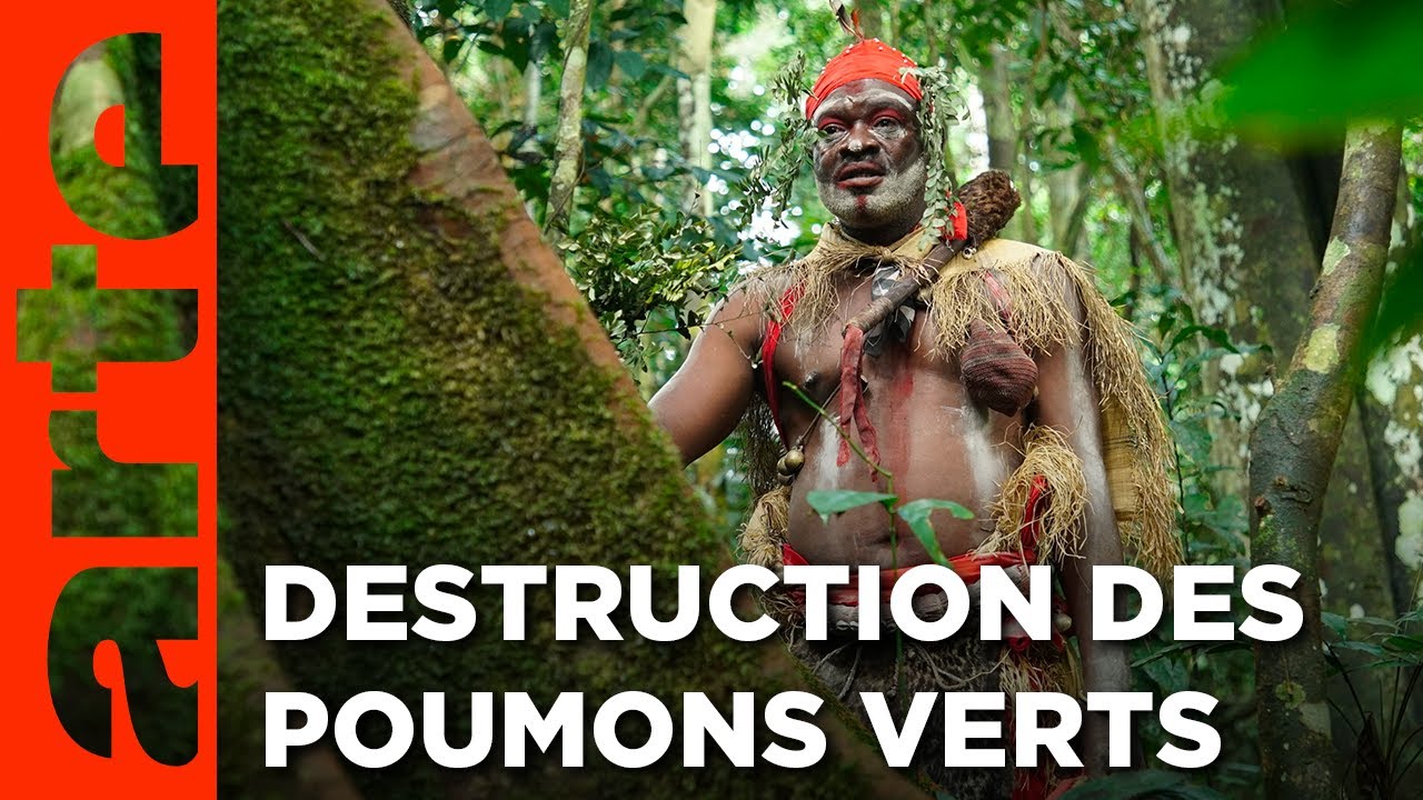 Gabon - La forêt qui soigne | Gardiens de la forêt | ARTE