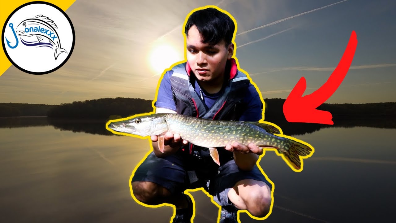 Maryland Pike Fishing at Triadelphia Reservoir! Spring Fishing Tips!