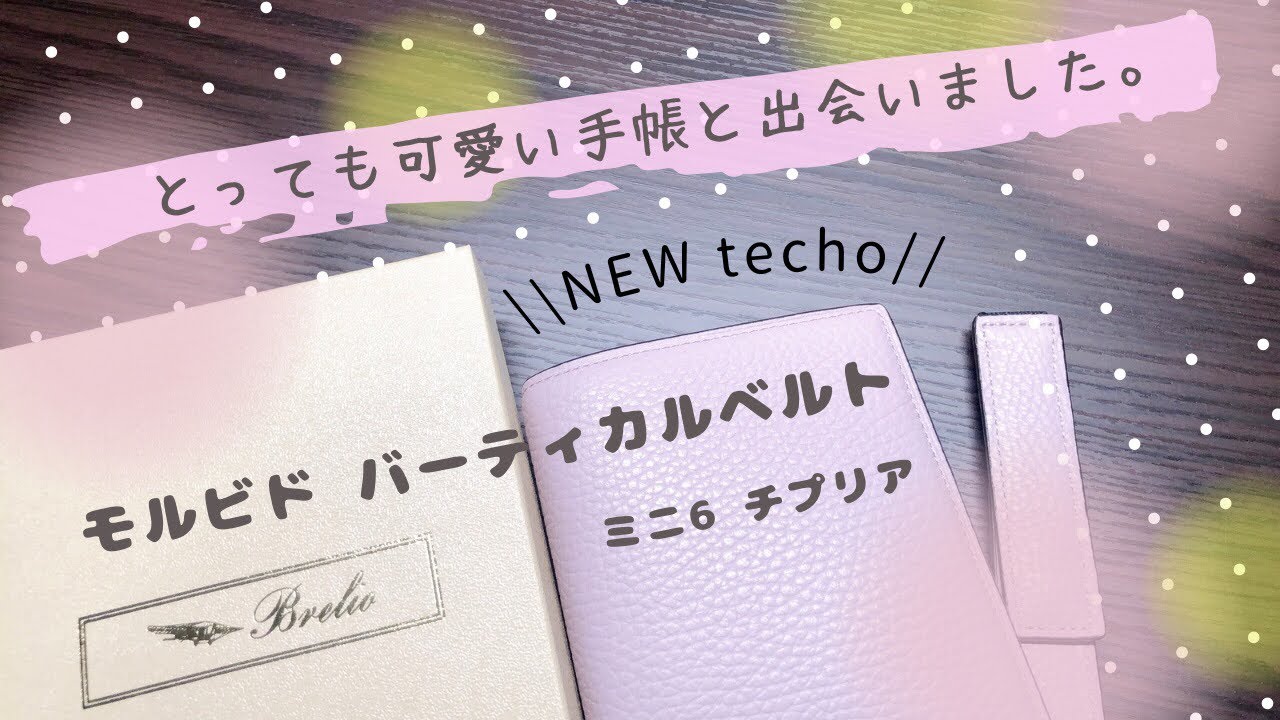 【NEW手帳】モルビド バーティカルベルト/ミニ6 チプリア/可愛すぎてメロメロ。