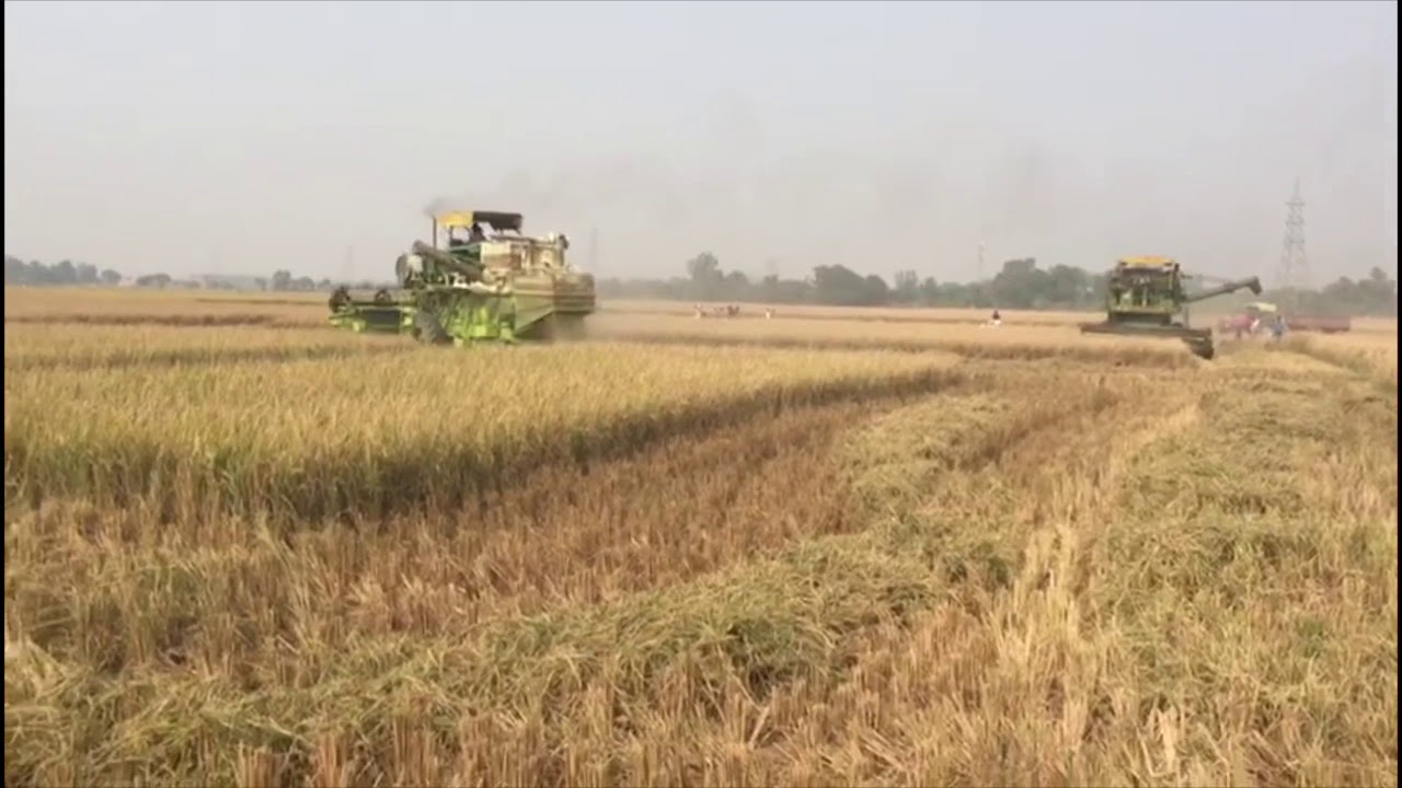 Balkar Tractor combine beat self combine