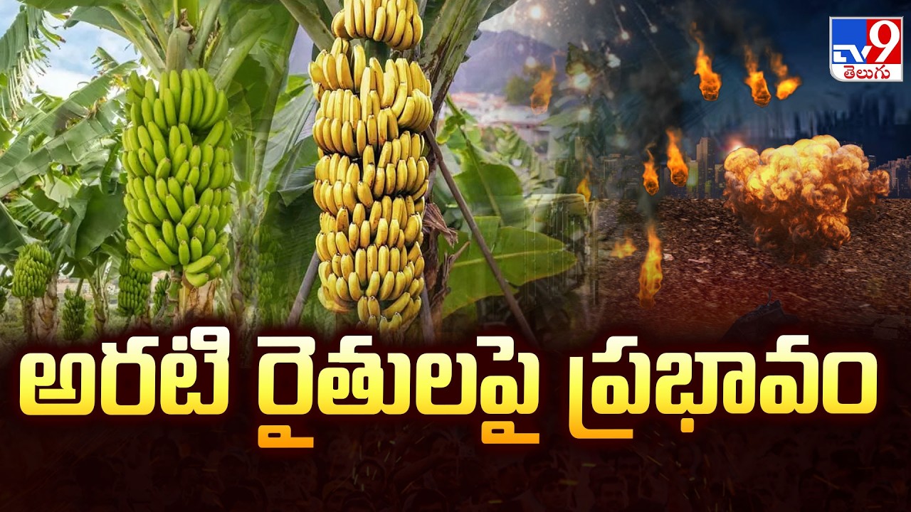 Iran War Effect on Banana Farmers | అరటి రైతులపై ప్రభావం | TV9