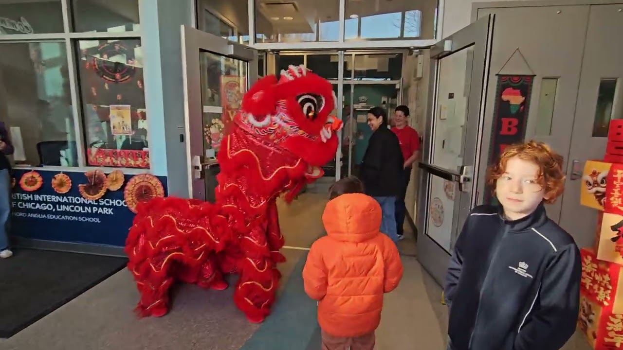 Chinese Lion Dance - Lincoln Park - Feb 13 2026