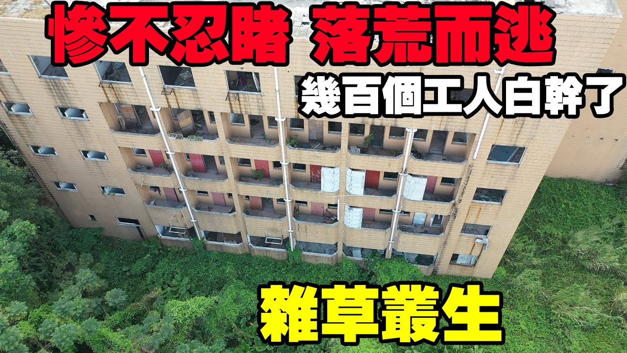 東莞厚街205國道邊上發現的，大家快來看，場面震驚！