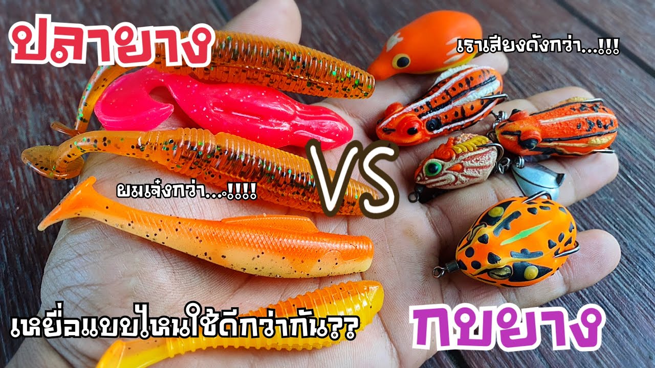 ปลายางvsกบยาง เหยื่อผิวน้ำแบบไหนใช้ดีกว่ากัน 6 คำถามยอดฮิตกับเหยื่อตกปลาช่อนผิวน้ำ